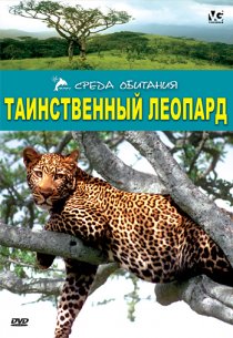 «Таинственный леопард»