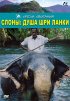 Постер «Слоны: Душа Шри-Ланки»