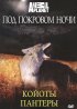 Постер «Под покровом ночи»