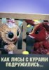 Постер «Как лисы с курами подружились»