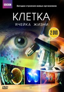 «BBC: Клетка»