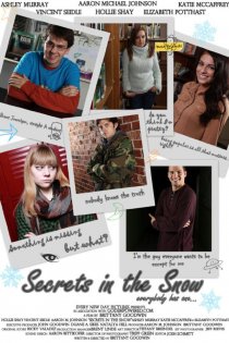 «Secrets in the Snow»