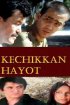 Постер «Поздняя жизнь»