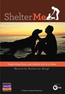 «Shelter Me»