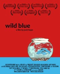 «Wild Blue»