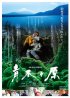 Постер «Аокигахара»