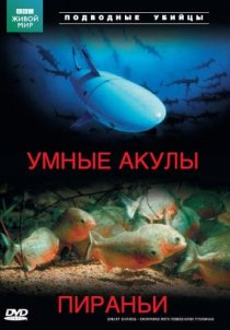 «Подводные убийцы. Умные акулы. Пираньи»