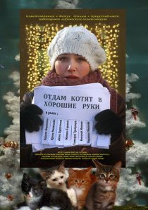 «Отдам котят в хорошие руки»
