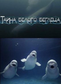 «Тайна белого беглеца»