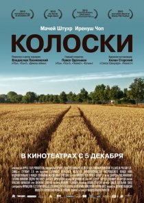 «Колоски»
