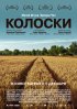 Постер «Колоски»