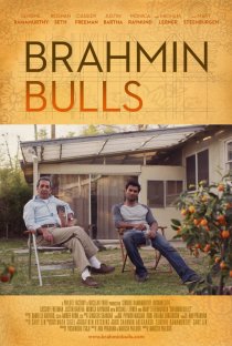 «Brahmin Bulls»