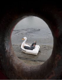 «Swandown»