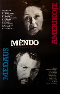 «Медовый месяц в Америке»