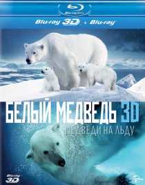 «Полярные медведи»