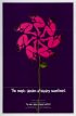 Постер «The Magic Garden of Stanley Sweetheart»