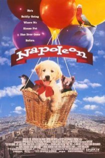 «Наполеон»