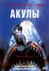 Постер «Акулы»