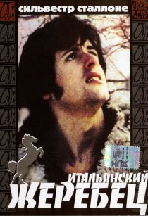 «Итальянский жеребец»