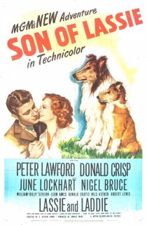 «Son of Lassie»
