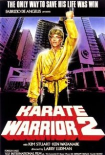 «Золотое кимоно воина 2»