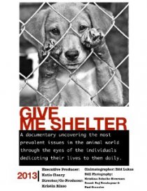 «Give Me Shelter»