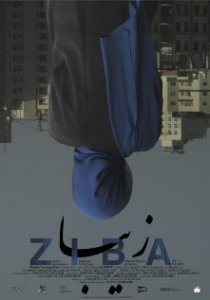 «Ziba»