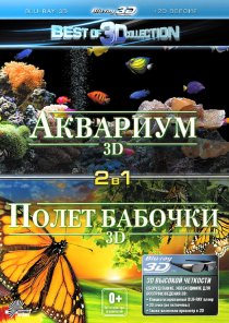 «Полет бабочки 3D»