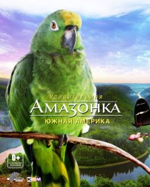 «Амазонка 3D»