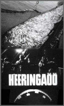 «Ночь селедок»