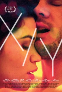 «X/Y»