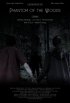 Постер «Phantom of the Woods»