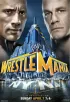 Постер «WWE РестлМания 29»