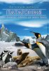 Постер «Патагония: По следам Дарвина 3D»