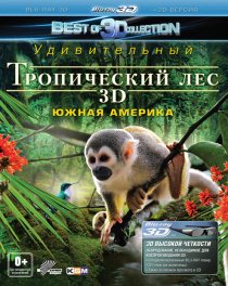 «Тропический лес 3D»