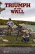 Постер «Triumph of the Wall»