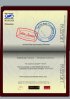 Постер «Indian Aussies: Terms & Conditions Apply»
