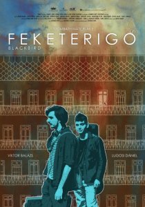 «Feketerigó»
