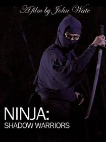 «Ниндзя: Воины-тени»