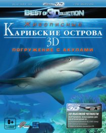 «Карибские острова 3D: Погружение с акулами»