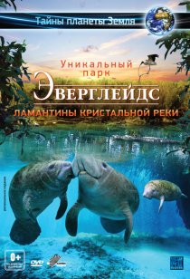 «Эверглейдс 3D: Ламантины Кристальной реки»