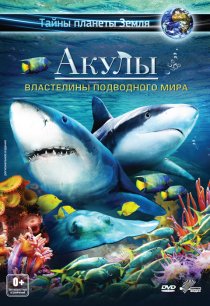 «Акулы 3D: Властелины подводного мира»