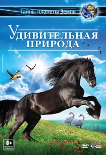 «Удивительная природа 3D»