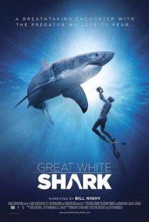 «Great White Shark»