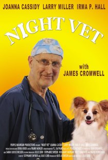 «Night Vet»