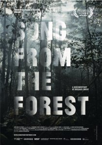 «Song from the Forest»