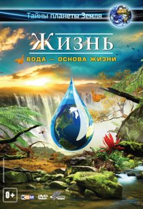 «Жизнь: Вода — основа жизни»
