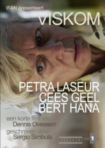 «Viskom»