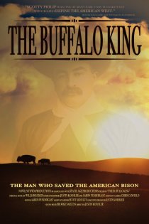 «The Buffalo King»