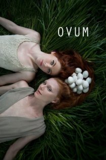 «Ovum»